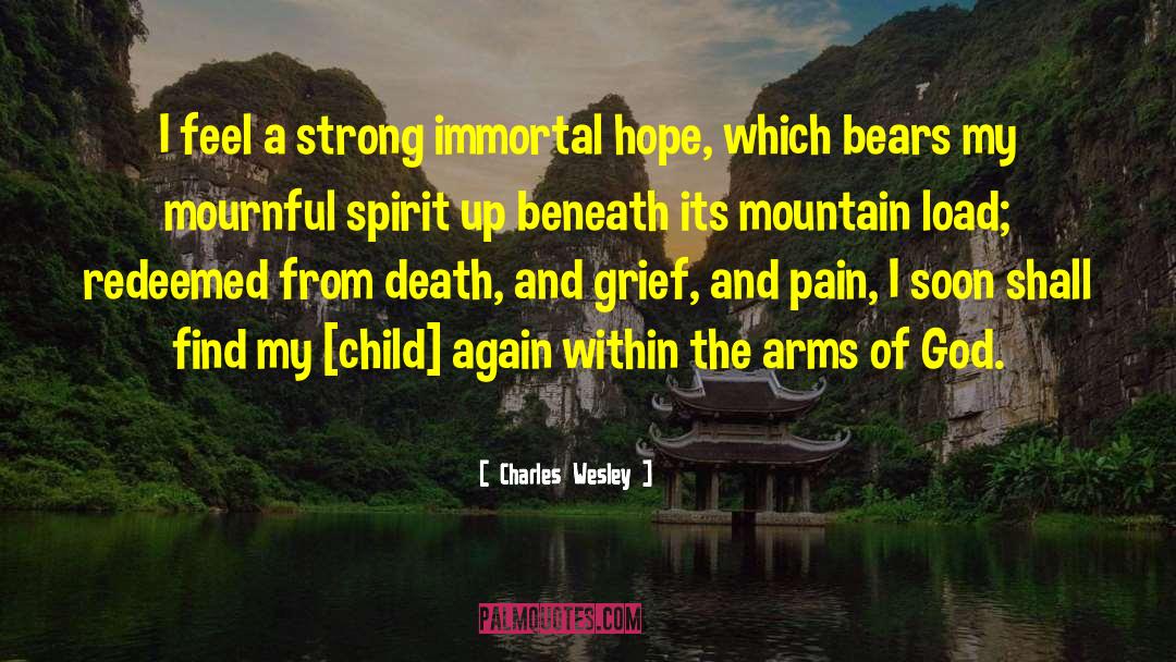 Charles Wesley Quotes: I feel a strong immortal