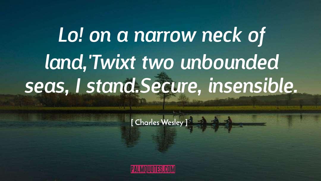 Charles Wesley Quotes: Lo! on a narrow neck