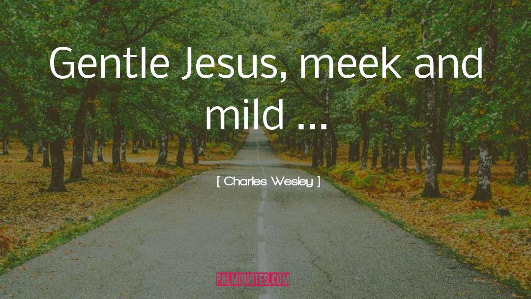 Charles Wesley Quotes: Gentle Jesus, meek and mild