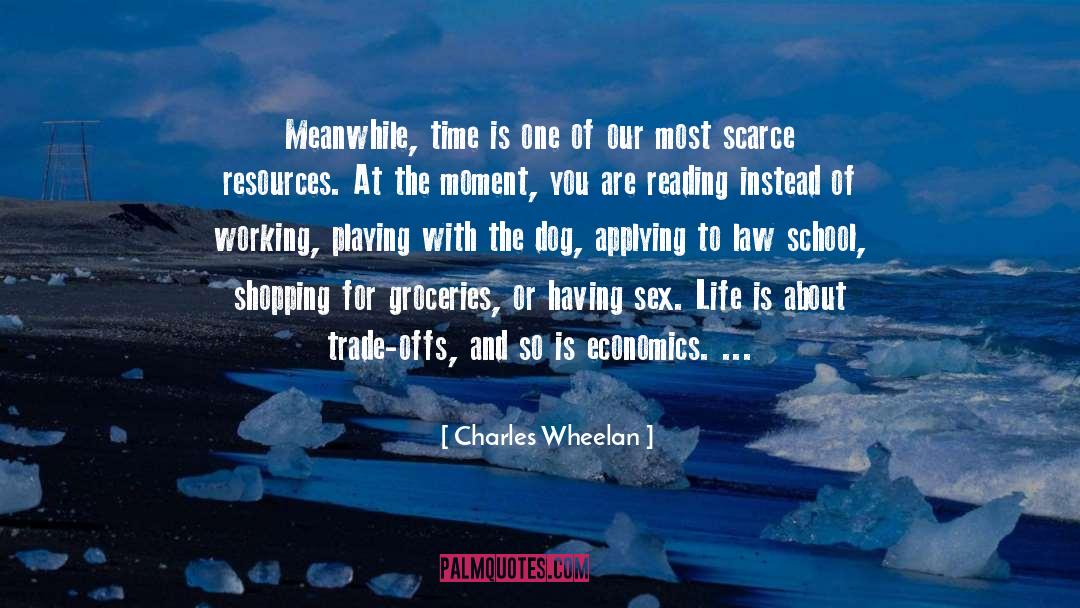 Charles Wheelan Quotes: Meanwhile, time is one of