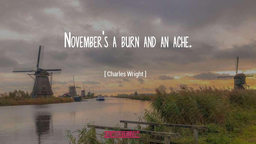 Charles Wright Quotes: November's a burn and an