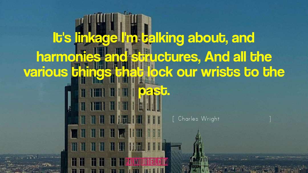 Charles Wright Quotes: It's linkage I'm talking about,