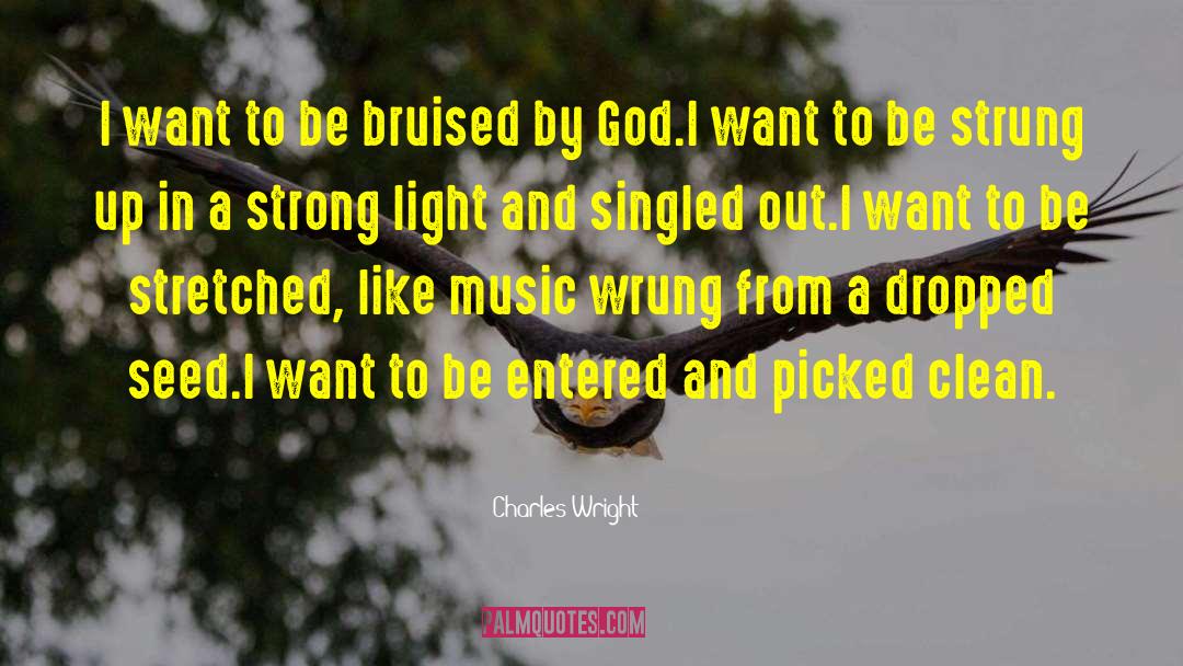 Charles Wright Quotes: I want to be bruised