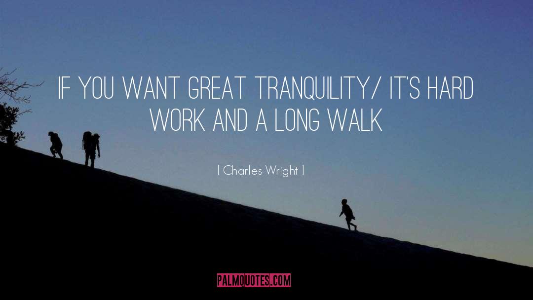 Charles Wright Quotes: If you want great tranquility/