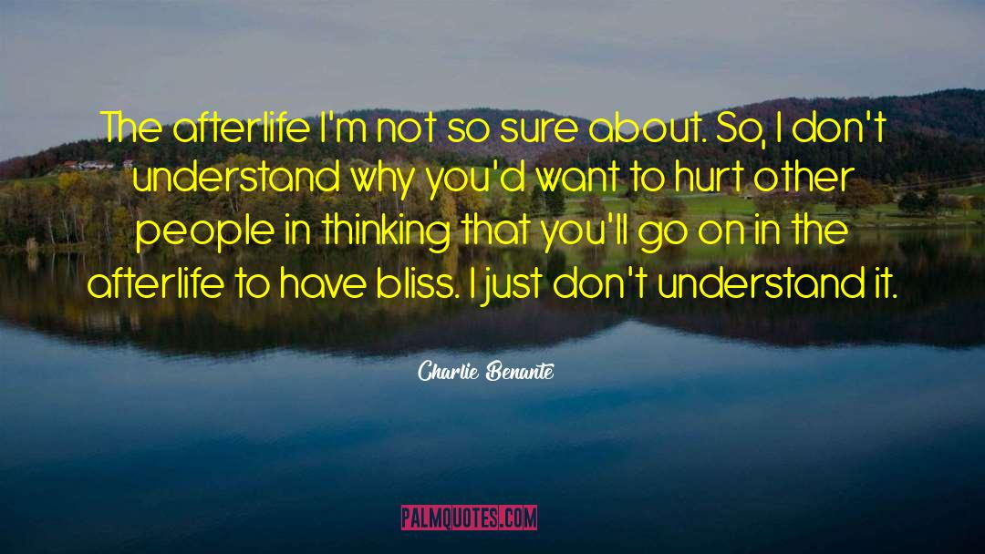 Charlie Benante Quotes: The afterlife I'm not so