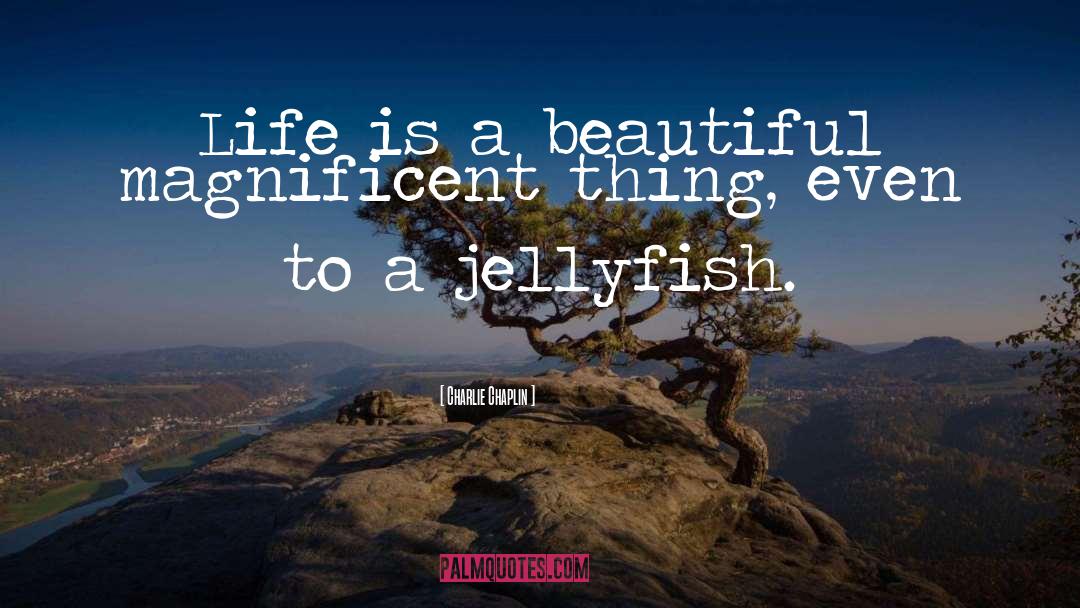 Charlie Chaplin Quotes: Life is a beautiful magnificent