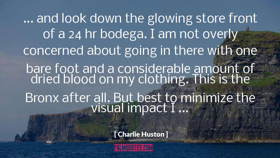 Charlie Huston Quotes: ... and look down the