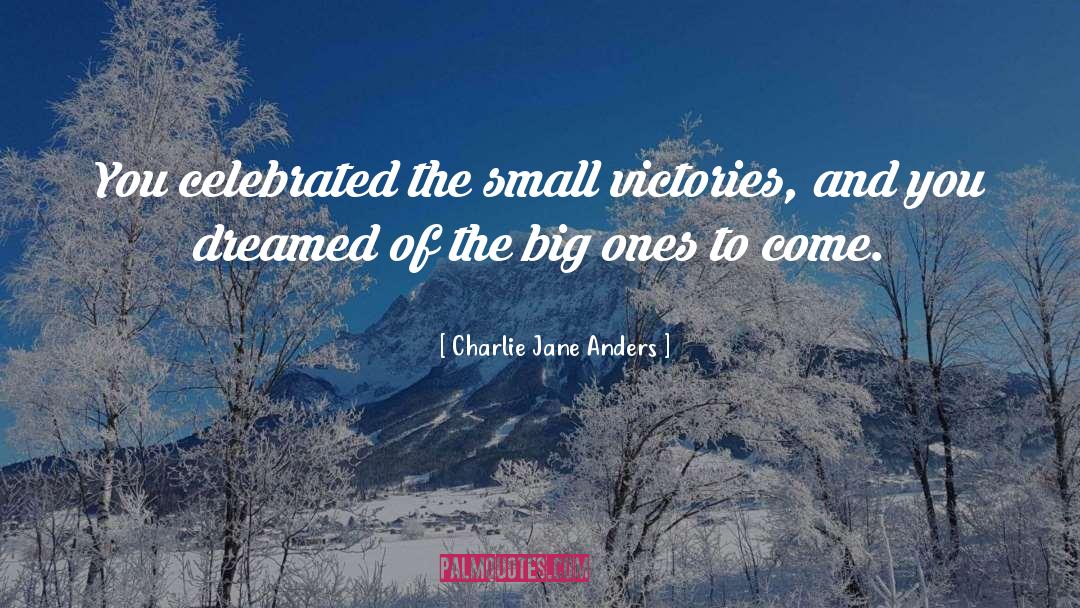 Charlie Jane Anders Quotes: You celebrated the small victories,