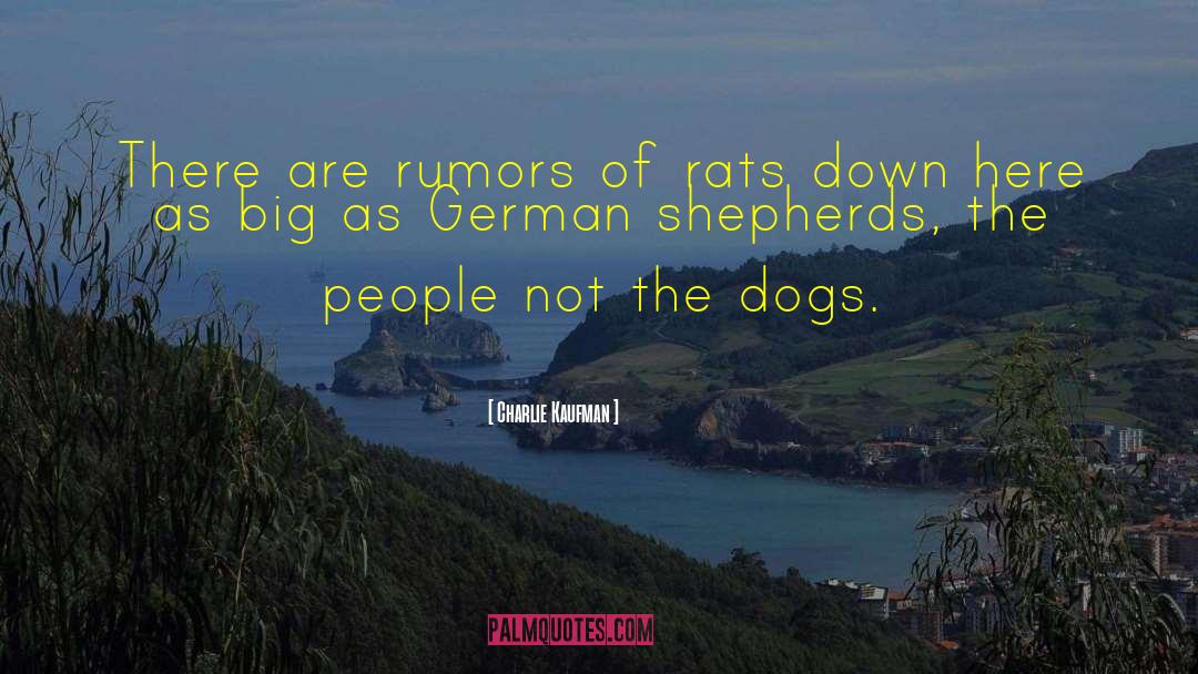 Charlie Kaufman Quotes: There are rumors of rats