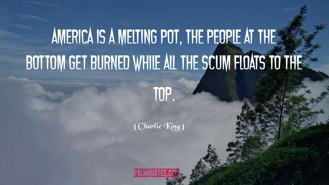 Charlie King Quotes: America is a melting pot,