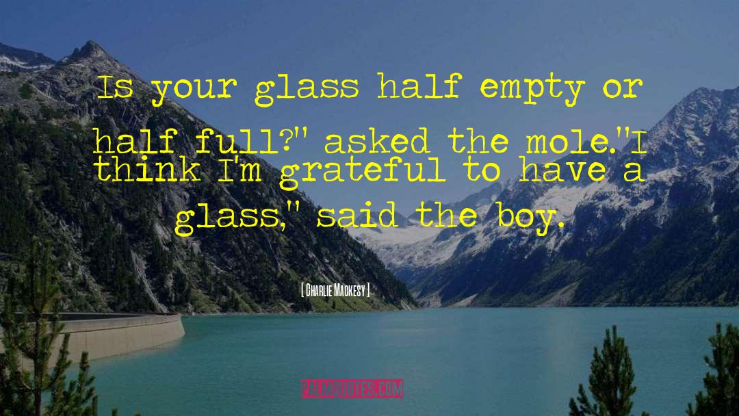 Charlie Mackesy Quotes: Is your glass half empty