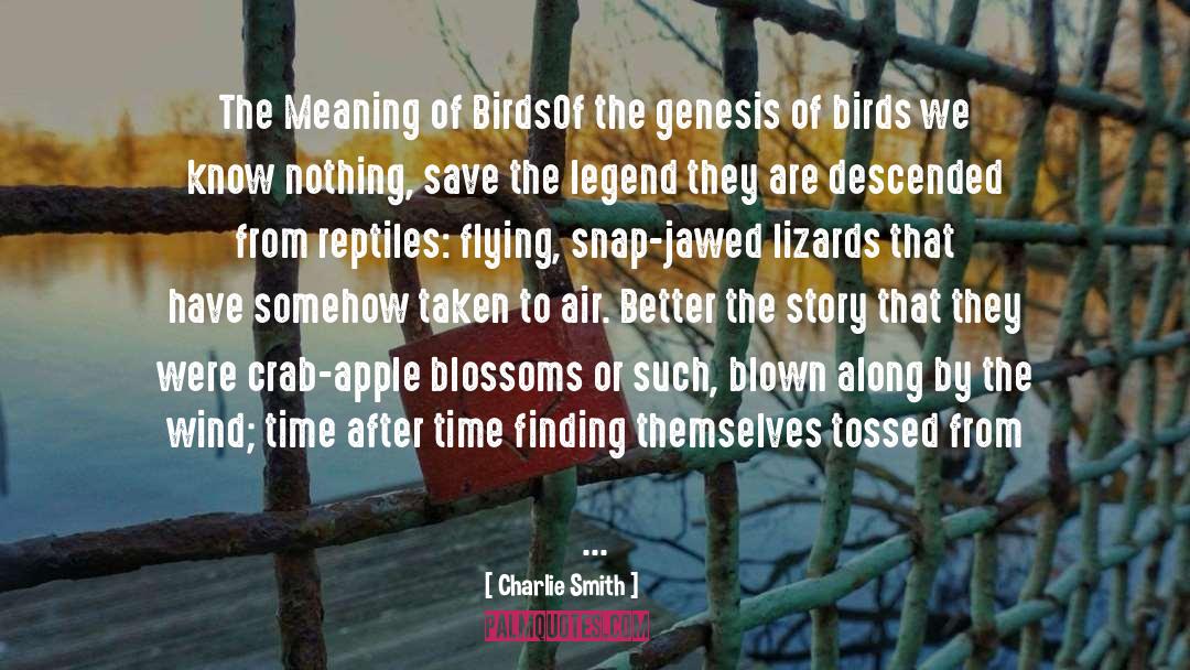 Charlie Smith Quotes: The Meaning of Birds<br /><br