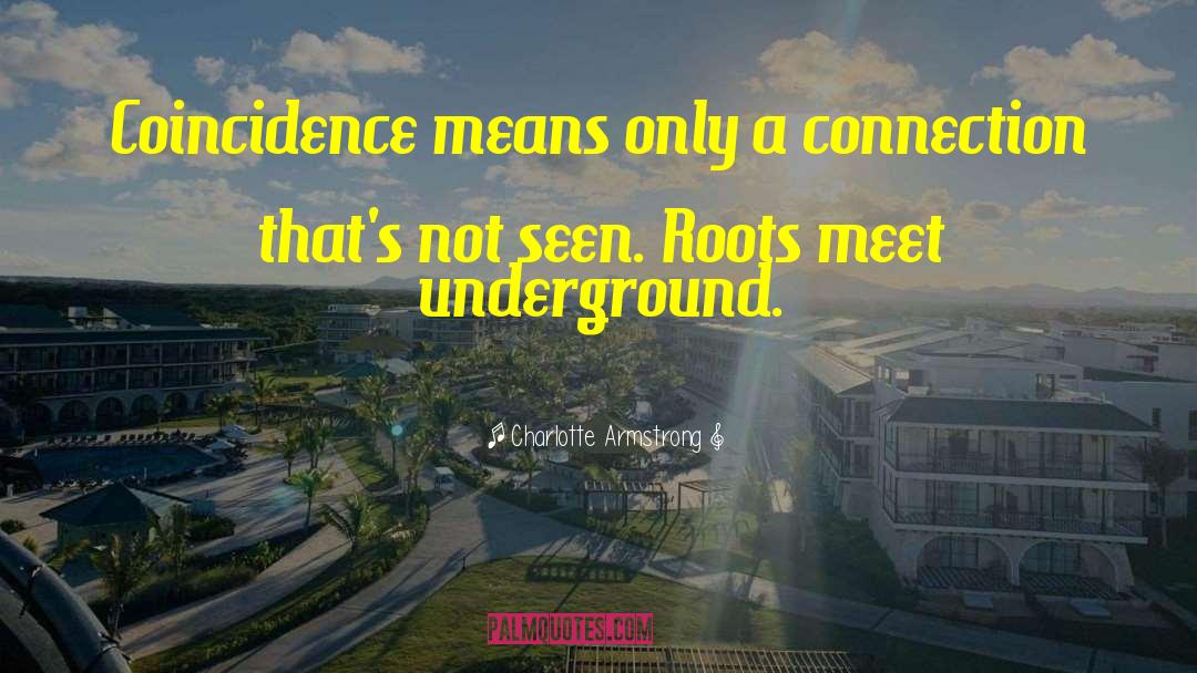 Charlotte Armstrong Quotes: Coincidence means only a connection