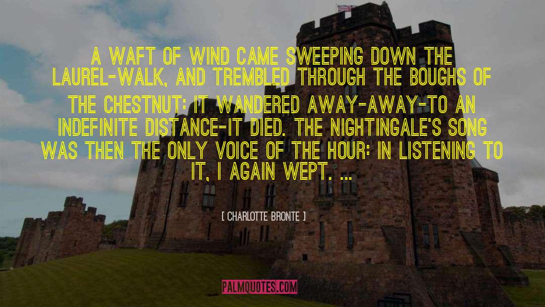 Charlotte Bronte Quotes: A waft of wind came