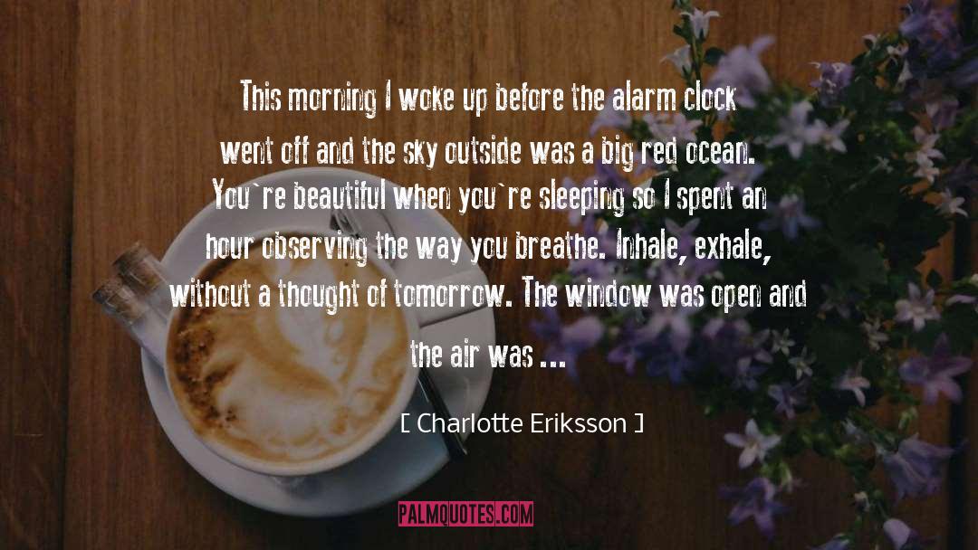 Charlotte Eriksson Quotes: This morning I woke up