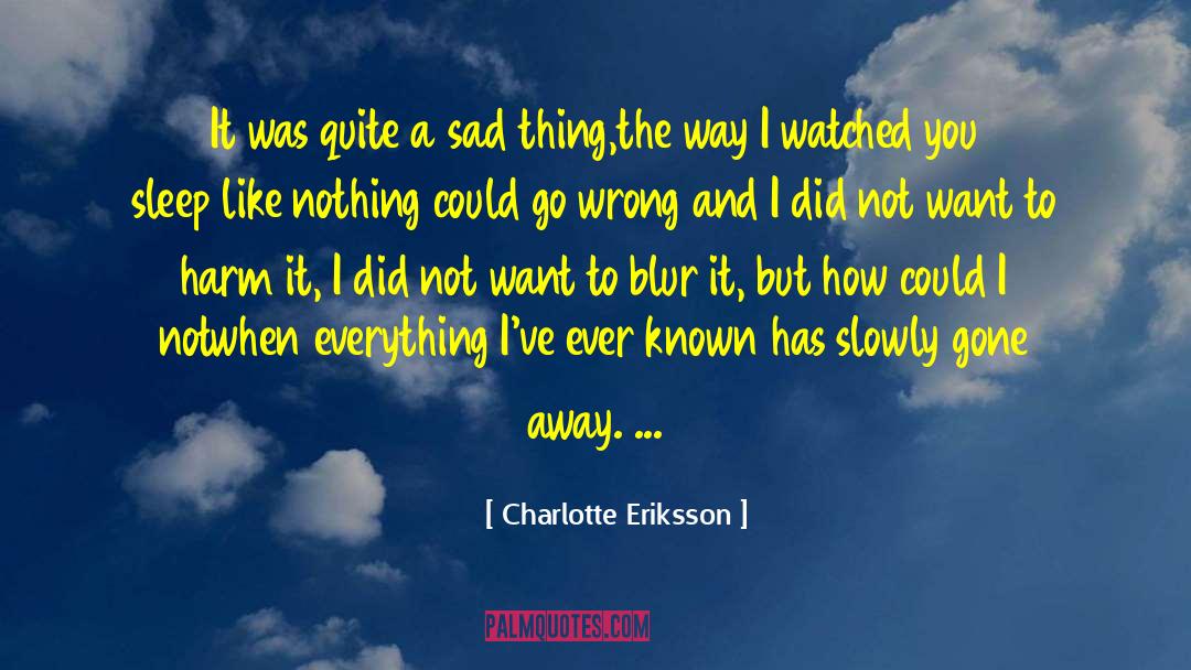 Charlotte Eriksson Quotes: It was quite a sad