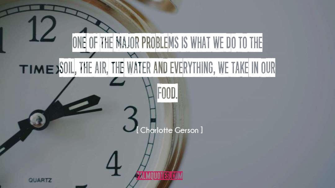 Charlotte Gerson Quotes: One of the major problems