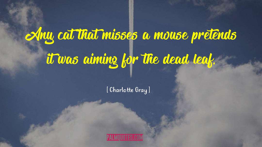 Charlotte Gray Quotes: Any cat that misses a