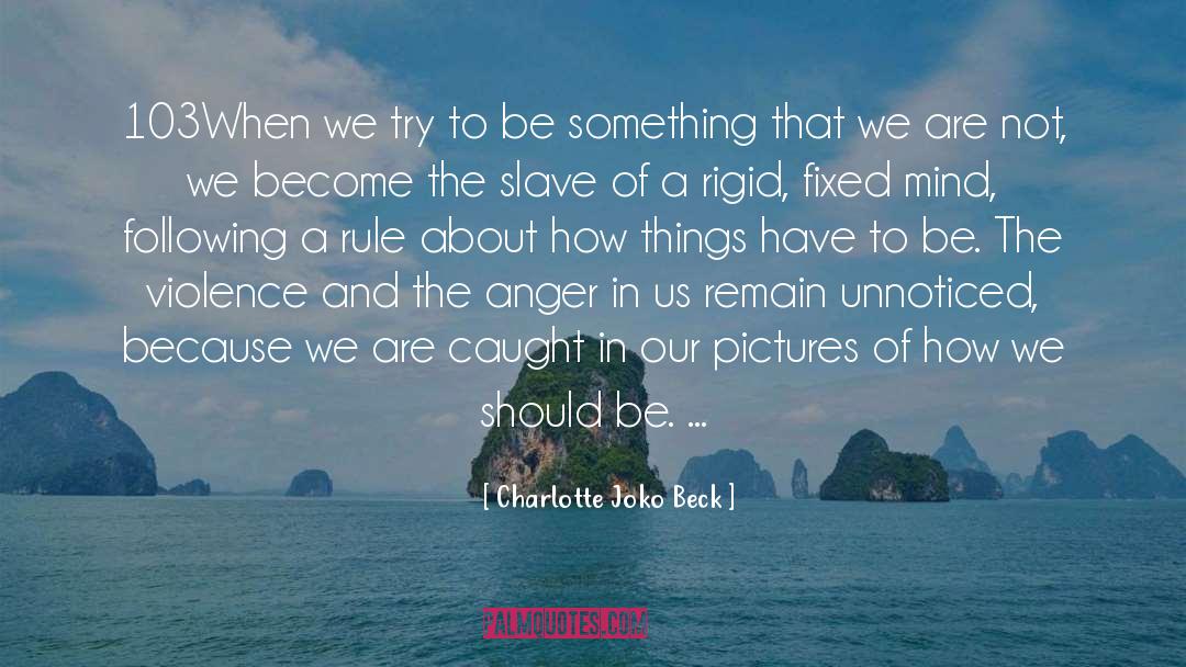 Charlotte Joko Beck Quotes: 103When we try to be