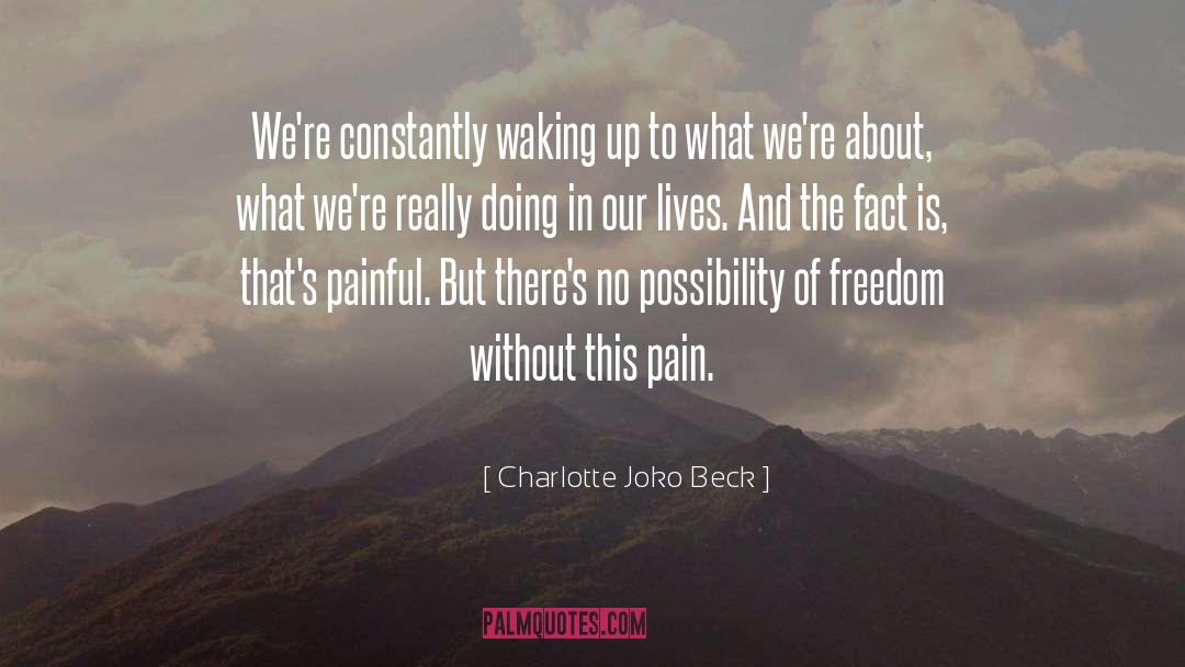 Charlotte Joko Beck Quotes: We're constantly waking up to