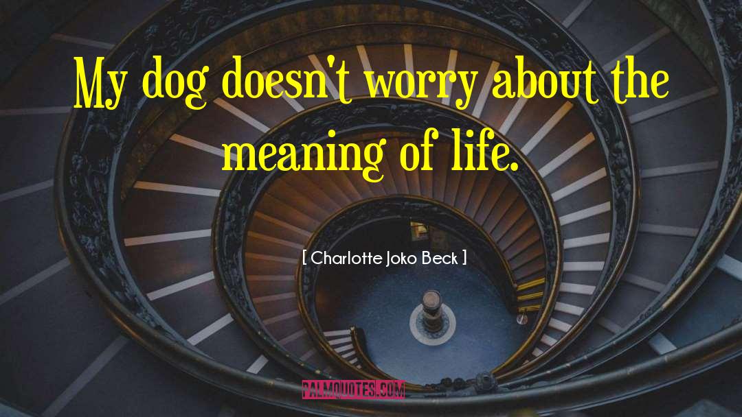 Charlotte Joko Beck Quotes: My dog doesn't worry about