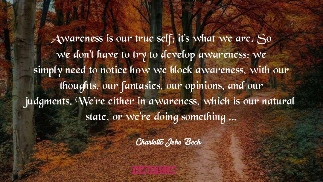 Charlotte Joko Beck Quotes: Awareness is our true self;