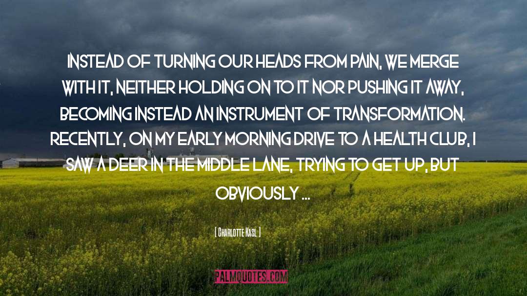 Charlotte Kasl Quotes: Instead of turning our heads