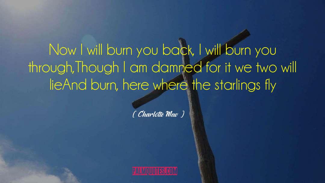 Charlotte Mew Quotes: Now I will burn you