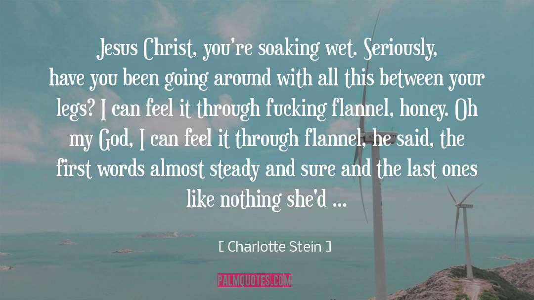 Charlotte Stein Quotes: Jesus Christ, you're soaking wet.