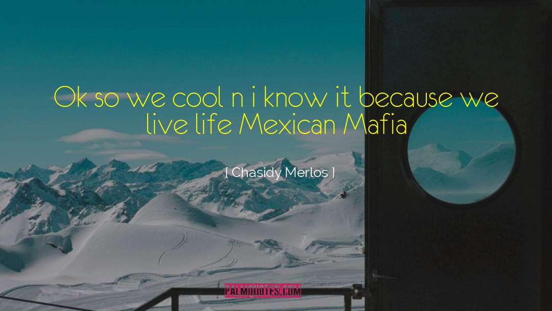 Chasidy Merlos Quotes: Ok so we cool n