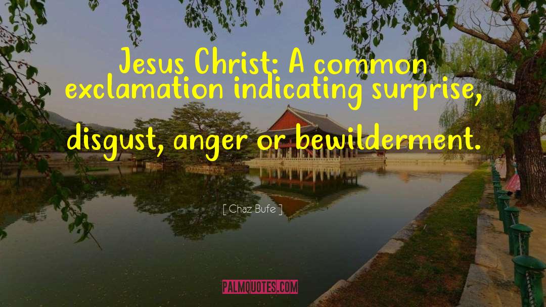 Chaz Bufe Quotes: Jesus Christ: A common exclamation