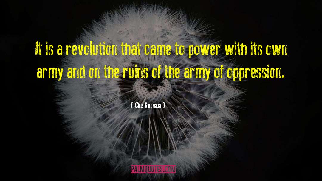 Che Guevara Quotes: It is a revolution that