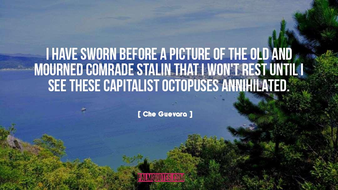 Che Guevara Quotes: I have sworn before a