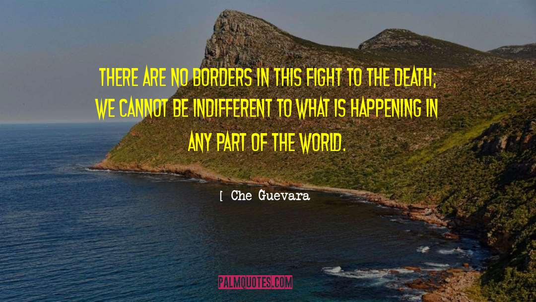 Che Guevara Quotes: There are no borders in