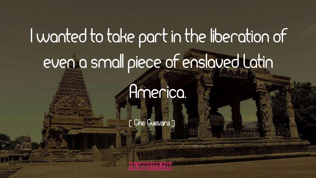 Che Guevara Quotes: I wanted to take part