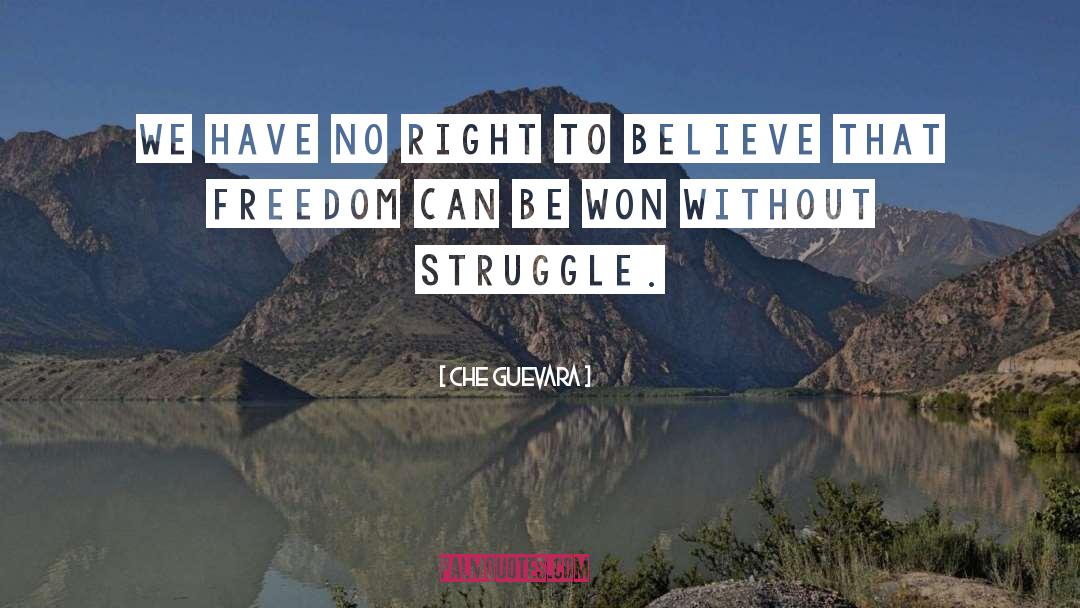 Che Guevara Quotes: We have no right to