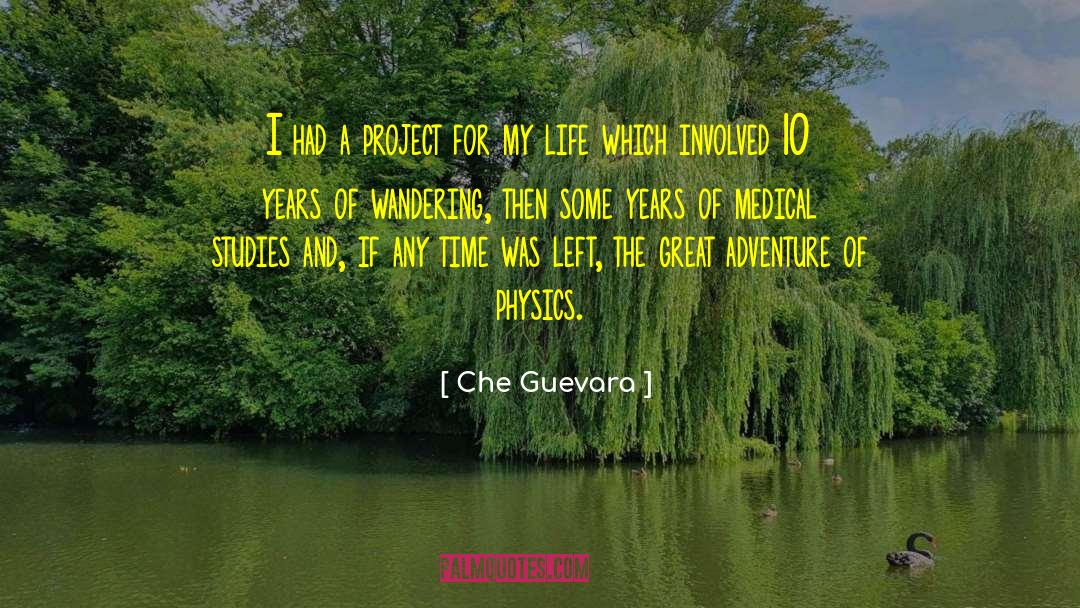 Che Guevara Quotes: I had a project for