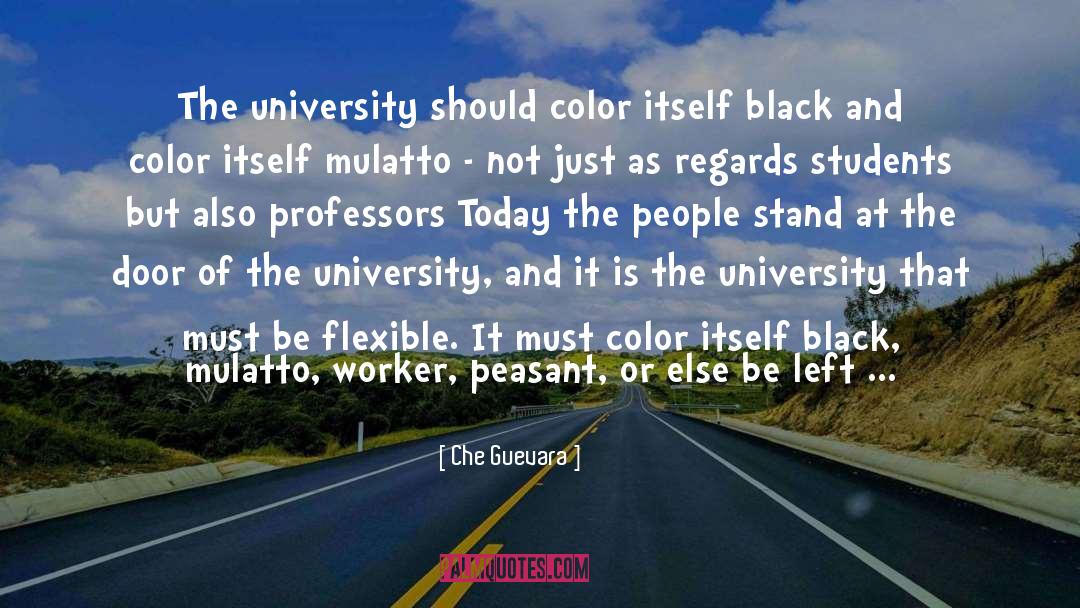 Che Guevara Quotes: The university should color itself