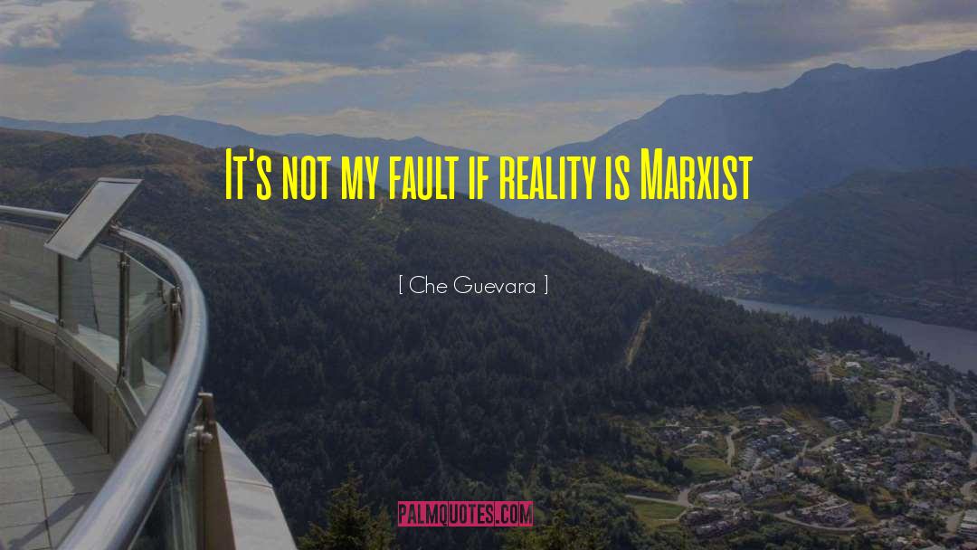 Che Guevara Quotes: It's not my fault if