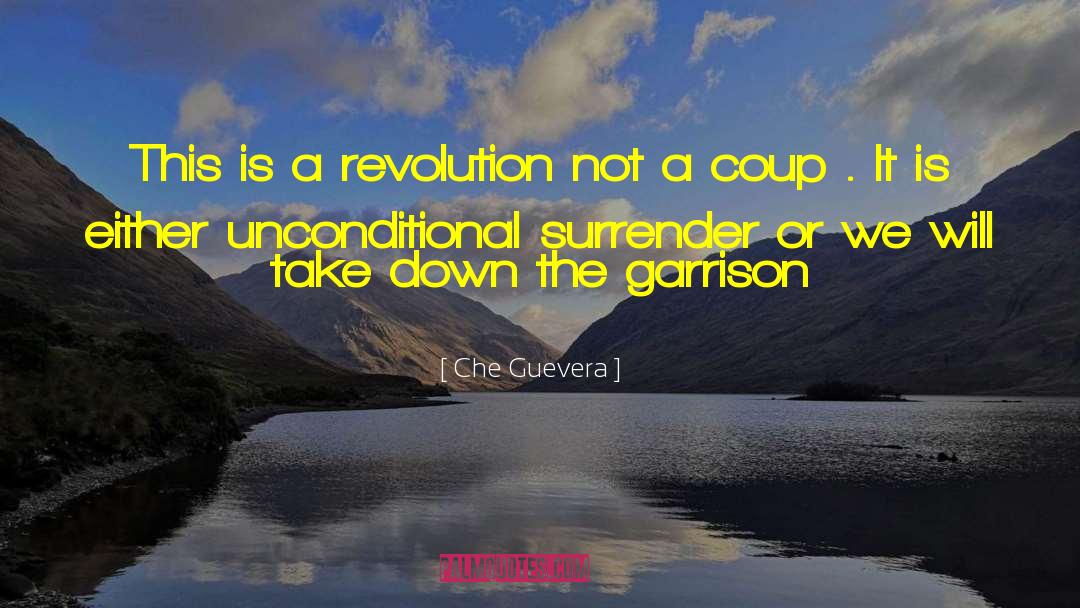 Che Guevera Quotes: This is a revolution not