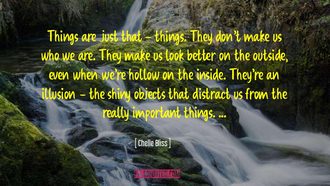 Chelle Bliss Quotes: Things are just that -