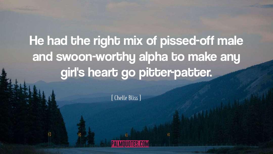 Chelle Bliss Quotes: He had the right mix