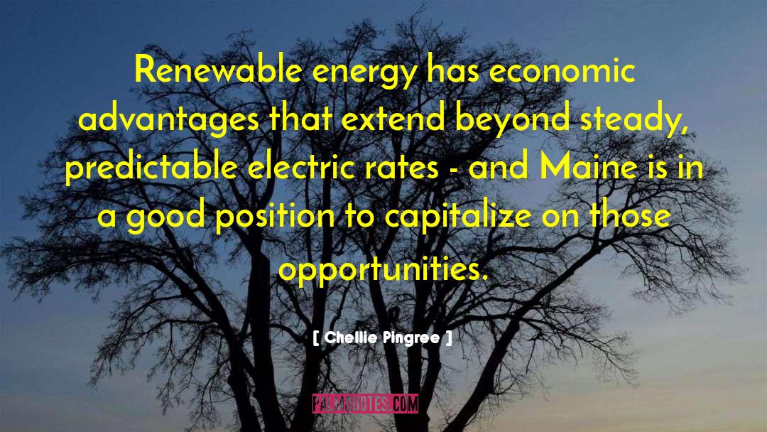 Chellie Pingree Quotes: Renewable energy has economic advantages