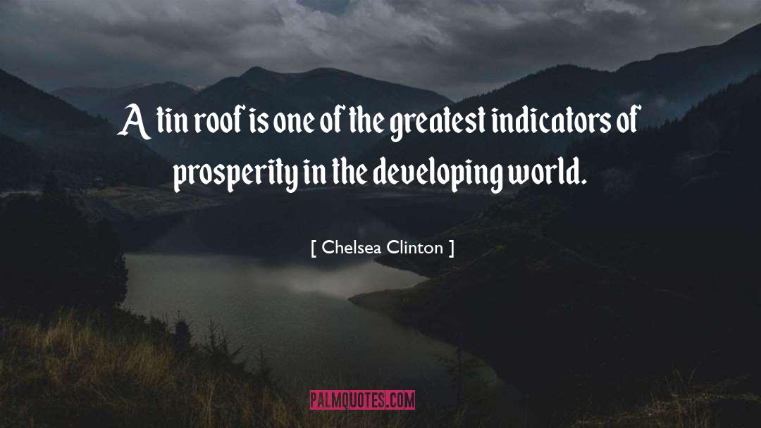 Chelsea Clinton Quotes: A tin roof is one