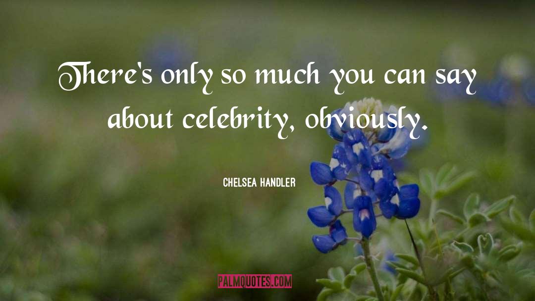 Chelsea Handler Quotes: There's only so much you