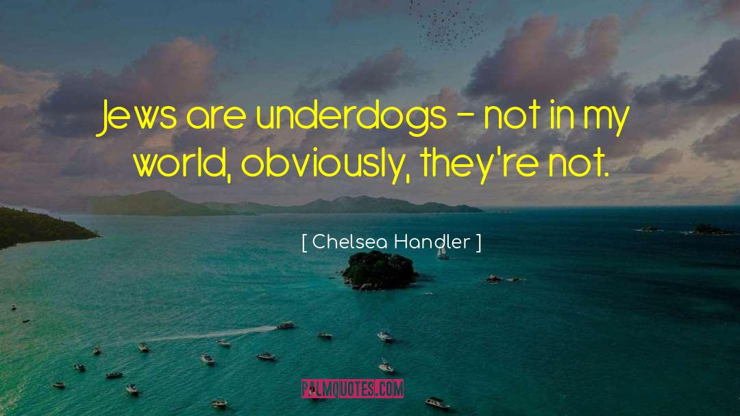 Chelsea Handler Quotes: Jews are underdogs - not