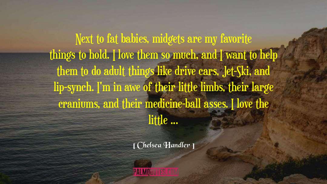 Chelsea Handler Quotes: Next to fat babies, midgets
