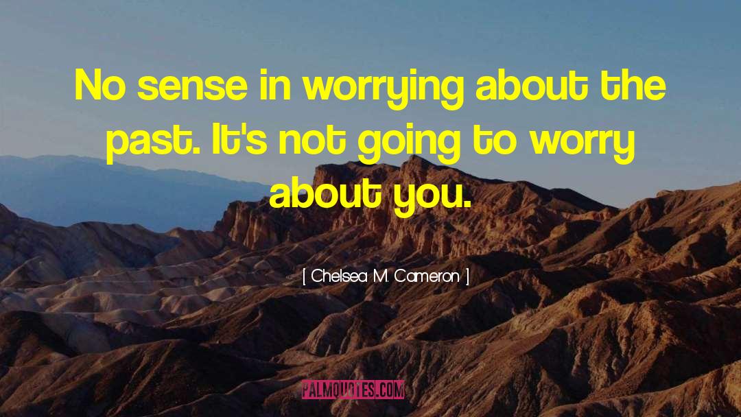 Chelsea M. Cameron Quotes: No sense in worrying about