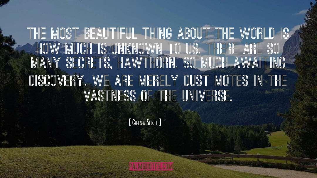 Chelsea Sedoti Quotes: The most beautiful thing about