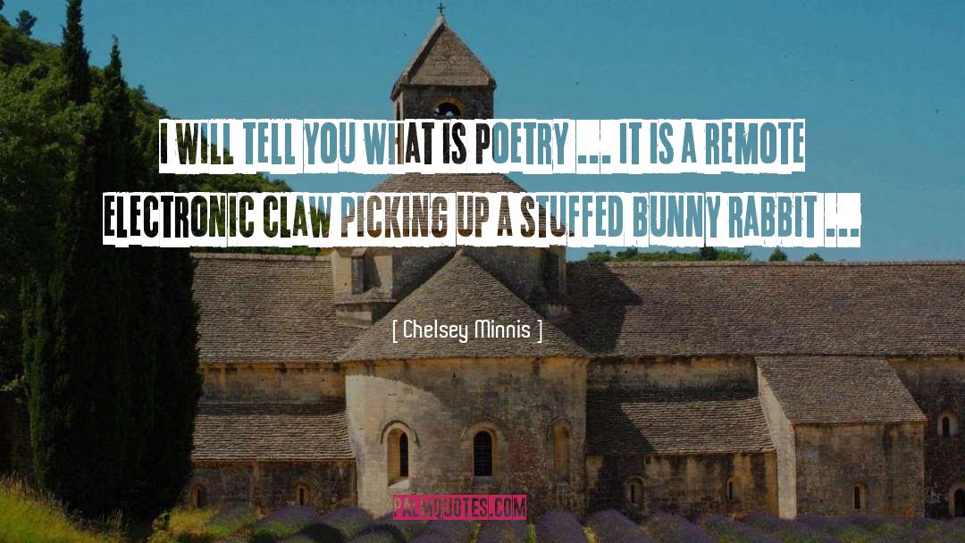 Chelsey Minnis Quotes: I will tell you what